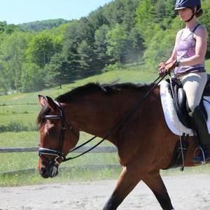 Meet your Posher, Barbara